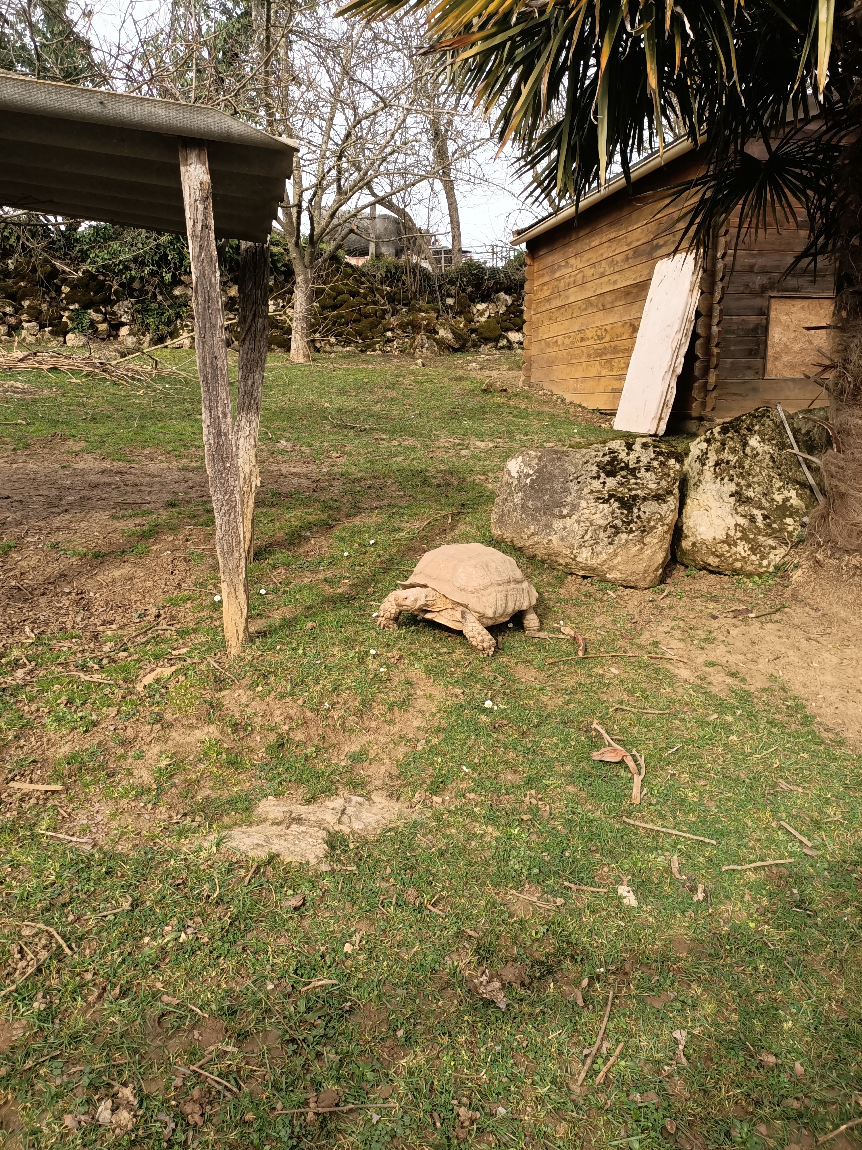 Photo n° 6 de l'avis de Dufau.a fait le 21/02/2024 à 14:51