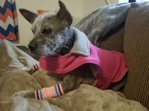 Pet Supply Store «PetSmart», reviews and photos, 1145 W Riverdale Rd, Riverdale, UT 84405, USA