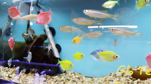 Tropical Fish Store «Aquariums By JJ», reviews and photos, 33 Hamburg Turnpike, Riverdale, NJ 07457, USA