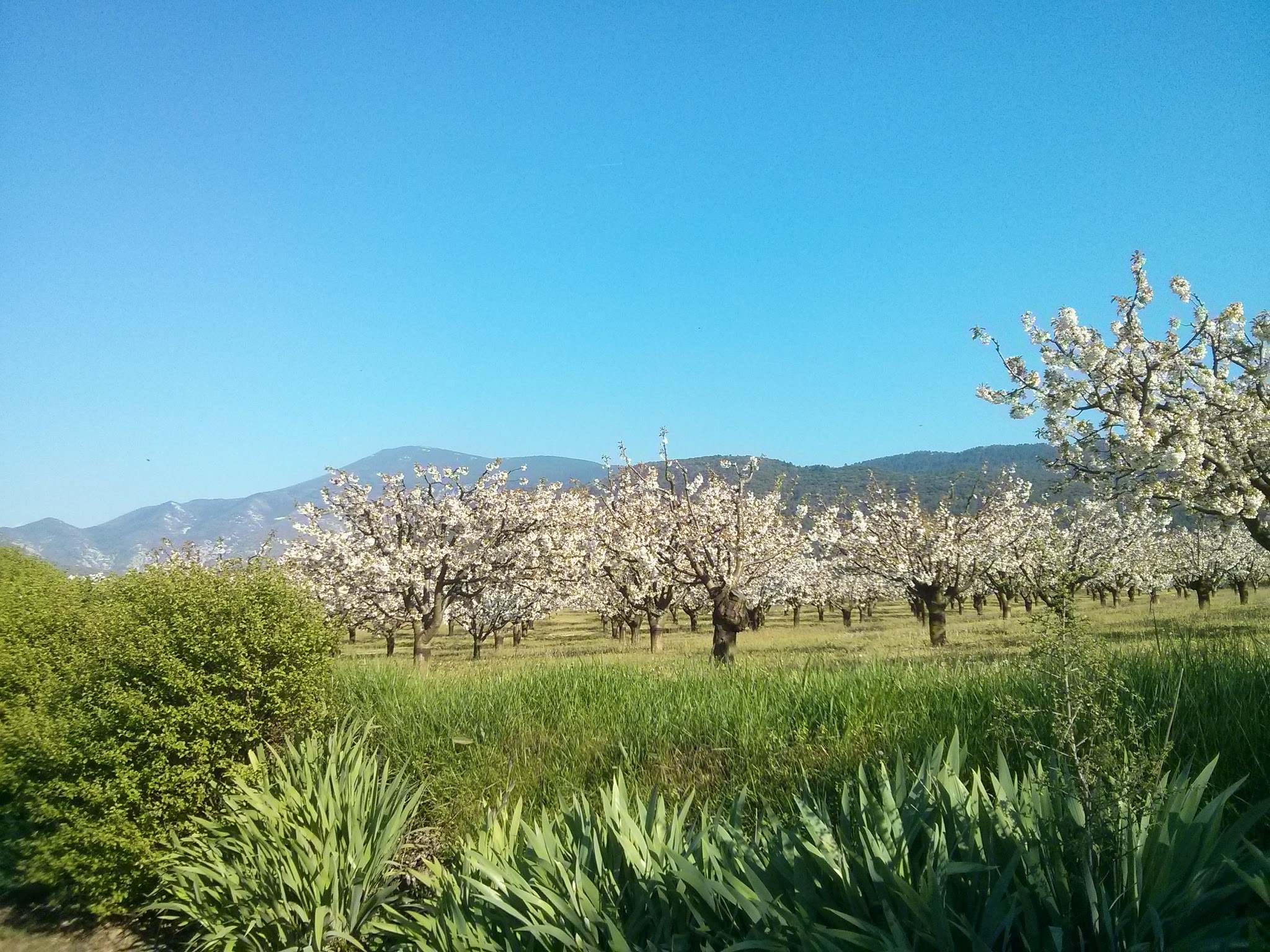 Photo n° 1 de l'avis de Thomas.c fait le 11/04/2018 à 06:57