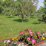 Photo n°6 de l'avis de Tanzmaus. fait le 23/05/2023 à 20:27 sur le  Hotel Landhafen à Niebüll