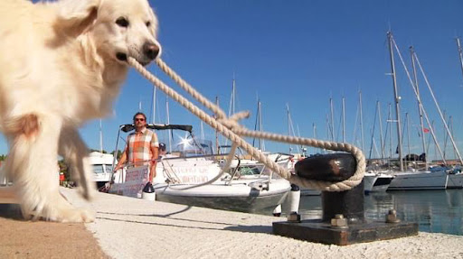 Boat License Hyères Eden à Hyères, Var