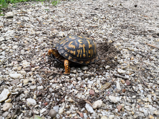 National Park «Greenbelt Park», reviews and photos, 6565 Greenbelt Rd, Greenbelt, MD 20770, USA