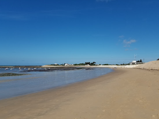 Remigeasse beach