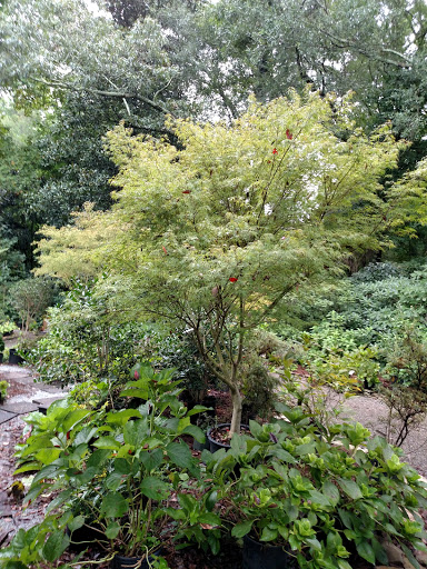 Garden Center «Goodness Grows», reviews and photos, 332 Elberton Rd, Lexington, GA 30648, USA