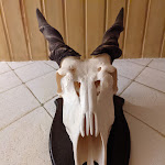 Photo n°3 de l'avis de Massimo.a fait le 24/05/2021 à 19:56 sur le  Gerhart's Strauße à Sasbach am Kaiserstuhl