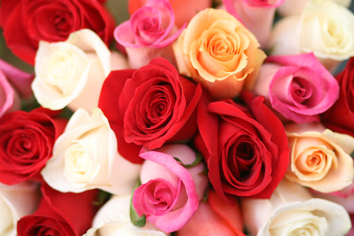 Florist «West Hollywood Florist», reviews and photos, 8205 Santa Monica Blvd, West Hollywood, CA 90046, USA