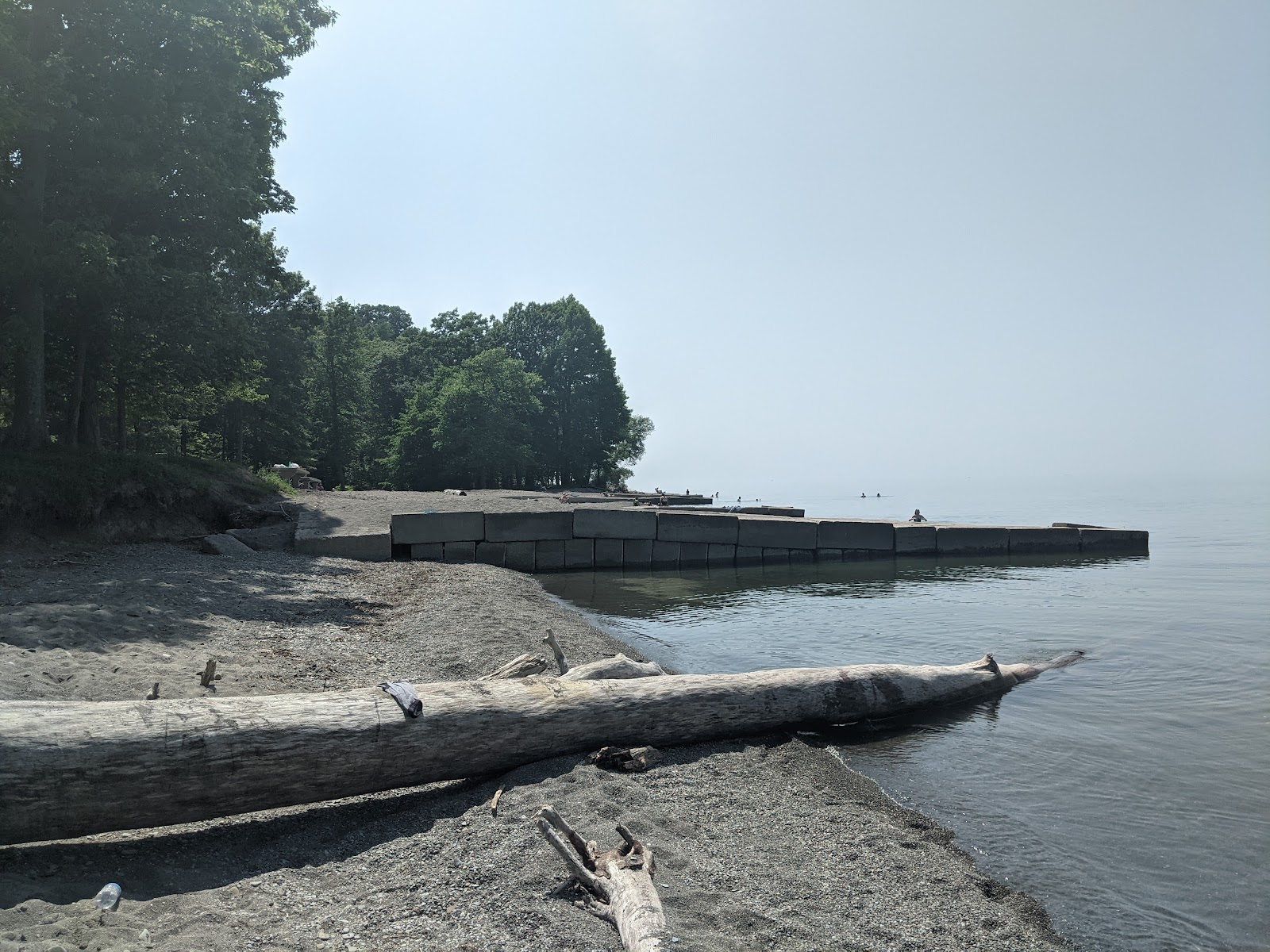 Raccoon Beach photo #8