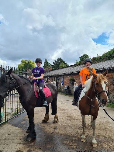 Reviews of Wythenshawe Park Riding Stables Ltd in Manchester - School
