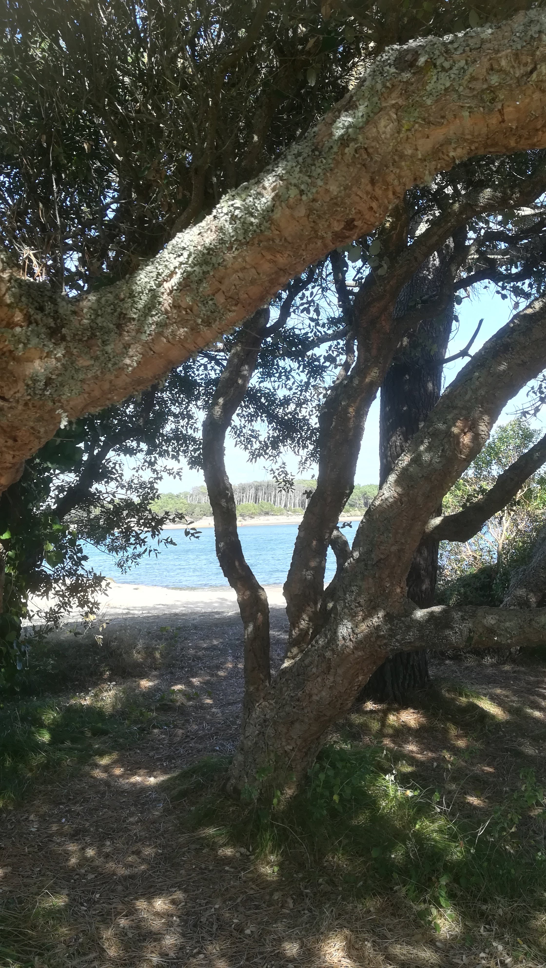 Photo n° 6 de l'avis de NOUNOU.7 fait le 21/10/2018 à 06:31