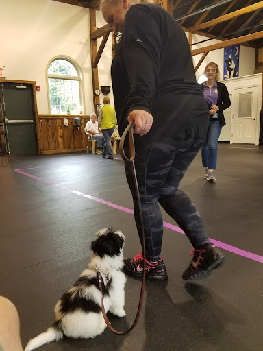 Dog Trainer «Awesome Dawgs Dog Training LLC», reviews and photos, 3052 Pricetown Rd, Temple, PA 19560, USA