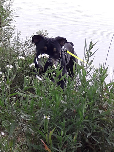 Park «Crooked Lake Park», reviews and photos, 13180 Crooked Lake Blvd NW, Coon Rapids, MN 55448, USA