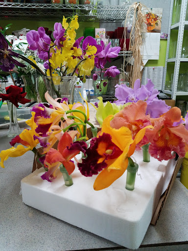Florist «Addison Floral», reviews and photos, 58 E Lake St, Addison, IL 60101, USA