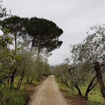 Photo n°2 de l'avis de Uba.r fait le 05/03/2018 à 08:30 sur le  Podere la Strega à Siena