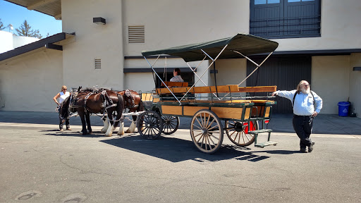 Winery «Robert Mondavi Winery», reviews and photos, 7801 St Helena Hwy, Oakville, CA 94562, USA