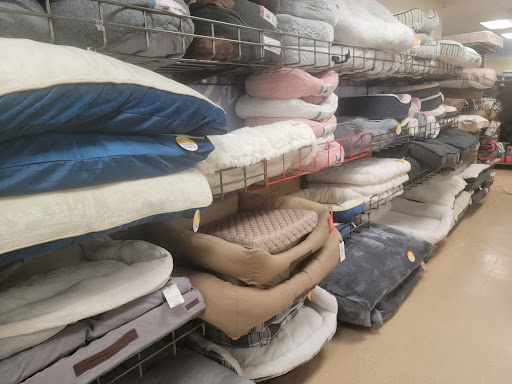 Pet Supply Store «Petco Animal Supplies», reviews and photos, 239 Newburyport Turnpike, Topsfield, MA 01983, USA