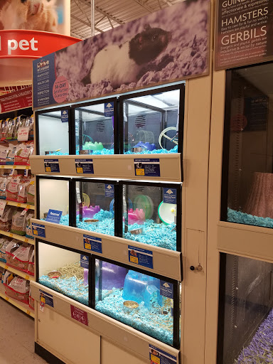 Pet Supply Store «PetSmart», reviews and photos, 79375 CA-111, La Quinta, CA 92253, USA