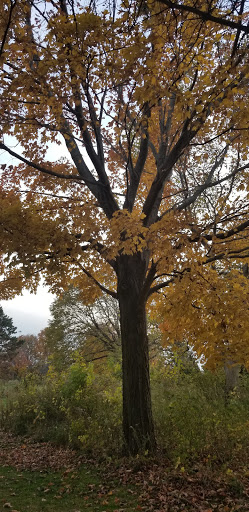 Nature Preserve «Cleveland Lakefront Nature Preserve», reviews and photos, 8701 Lakeshore Blvd, Cleveland, OH 44108, USA