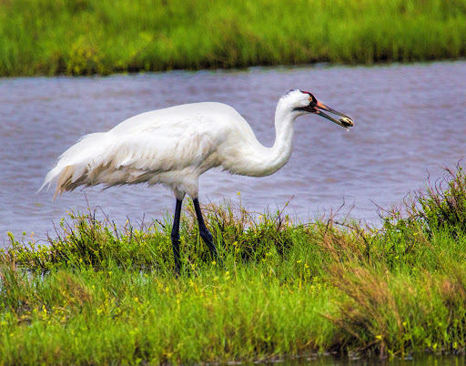 319 Broadway St, Rockport, TX 78382, USA