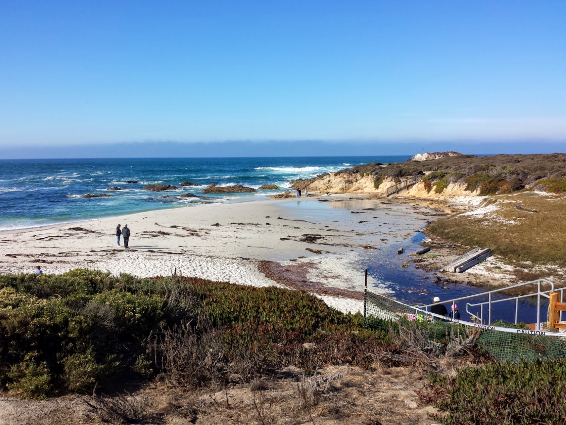 Photo of Seal Rock Beach and the settlement