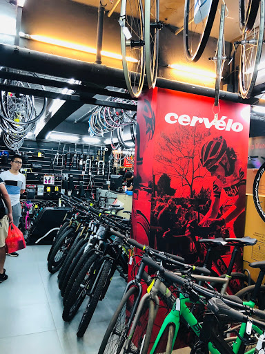Bicycle store Hong Kong