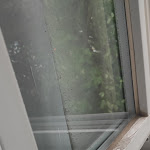 Photo n°2 de l'avis de Th. fait le 27/07/2022 à 21:32 sur le  Hotel Restaurant „SANKT GEORG“ à Neubrandenburg