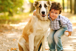 Family Pet Medical & Surgery image