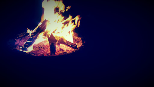 Park «Vogelei Park & Barn», reviews and photos, 650 W Higgins Rd, Hoffman Estates, IL 60169, USA