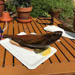 Photo n°1 de l'avis de Jan.a fait le 06/07/2017 à 13:42 sur le  Trout Smokehouse à Rathen