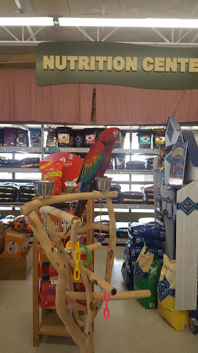 Pet Store «Petland Plano», reviews and photos, 1301 Custer Rd #405, Plano, TX 75075, USA