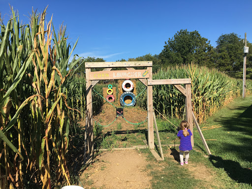 Tourist Attraction «Oregon Dairy Corn Maze», reviews and photos, 1289 Creek Rd, Lititz, PA 17543, USA