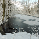 Photo n°2 de l'avis de Karin.g fait le 17/03/2018 à 19:50 sur le  Hotel - Restaurant Ginsberger Heide à Hilchenbach