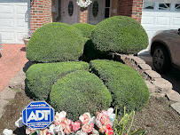 Gold Leaf Landscaping LLC - Photo 2 - Car repair in , Queens