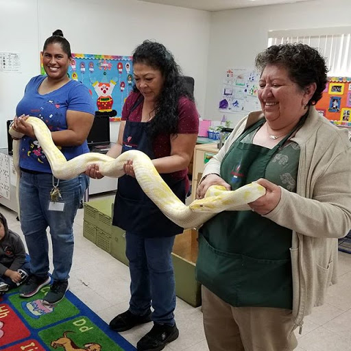 Reptile Store «Paramount Pet Entertainment - Reptile Parties & more!», reviews and photos, 8055 Rosecrans Ave #107, Paramount, CA 90723, USA