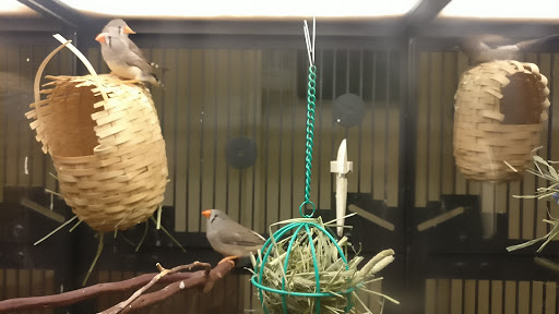 Pet Supply Store «PetSmart», reviews and photos, 1386 Atwood Ave, Johnston, RI 02919, USA