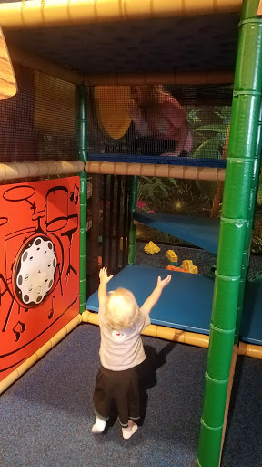 Toy Store «Smart Toys and Books», reviews and photos, 9700 Kingston Pike #12, Knoxville, TN 37922, USA