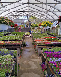 The City Farmer - Photo 3 - Car repair in Grand Haven, MI, Muskegon