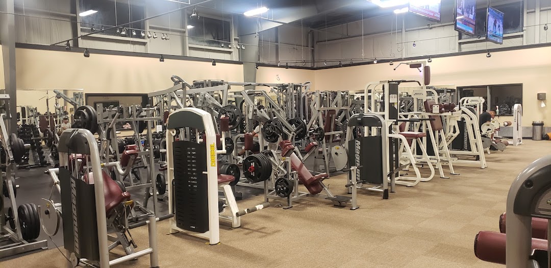The Gym 247 Fitness