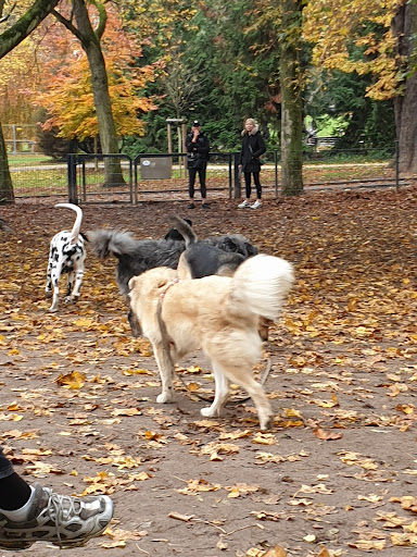 Hunde-Freilaufgehege am Grüneburg Park