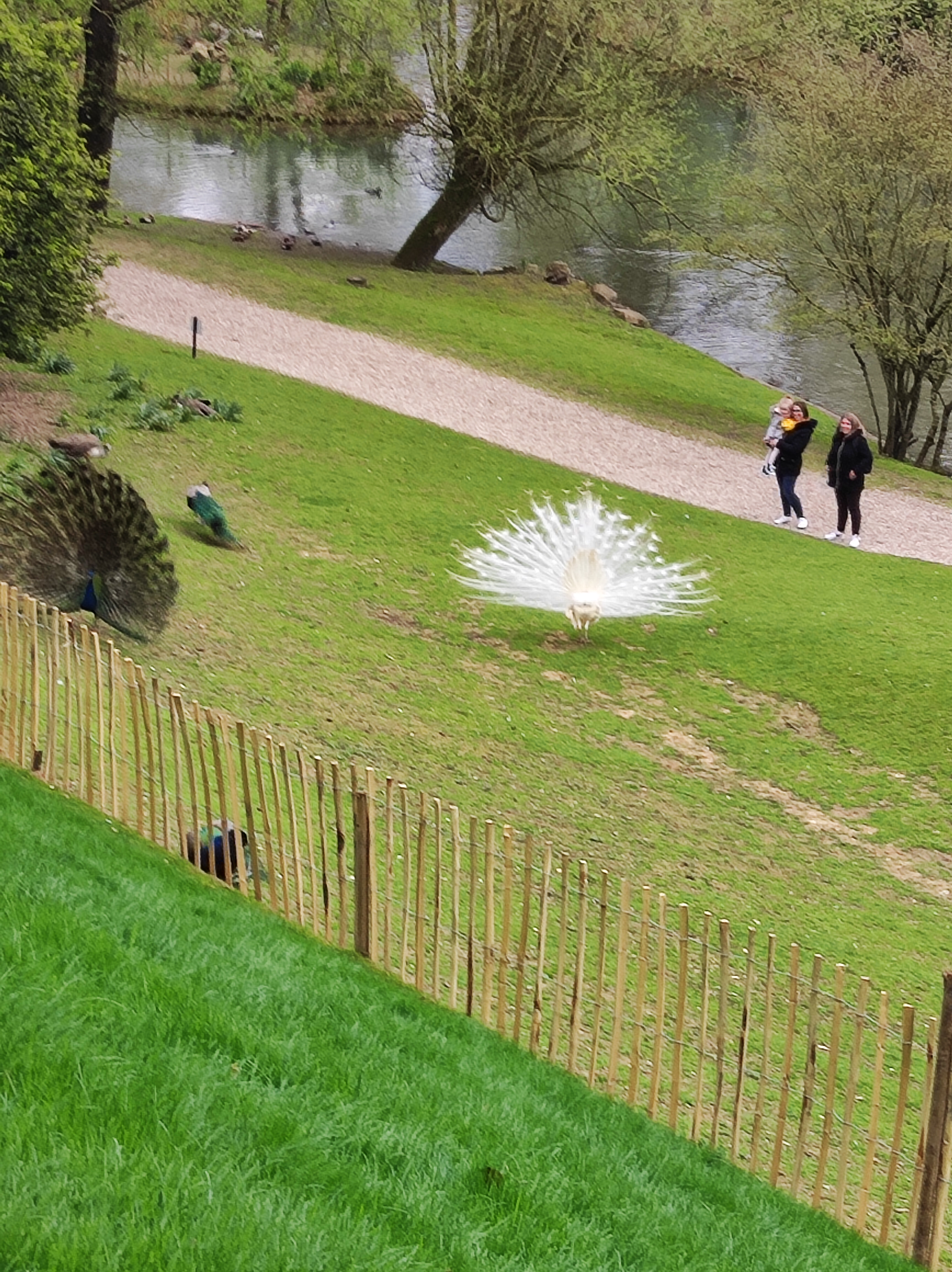 Photo n° 9 de l'avis de Yvonne.a fait le 23/04/2023 à 13:30