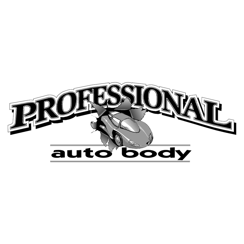 Professional Auto Body South