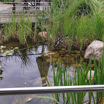 Photo n°1 de l'avis de Pascal.e fait le 07/07/2020 à 11:34 sur le  Hotel-Restaurant Kurt Esser à Wegberg