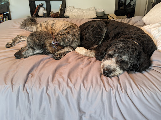 Pet Supply Store «Petco Animal Supplies», reviews and photos, 1824 E Katella Ave, Orange, CA 92867, USA