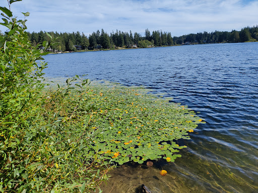 Park «Wildcat Lake County Park», reviews and photos, 9205 NW Holly Rd, Bremerton, WA 98312, USA