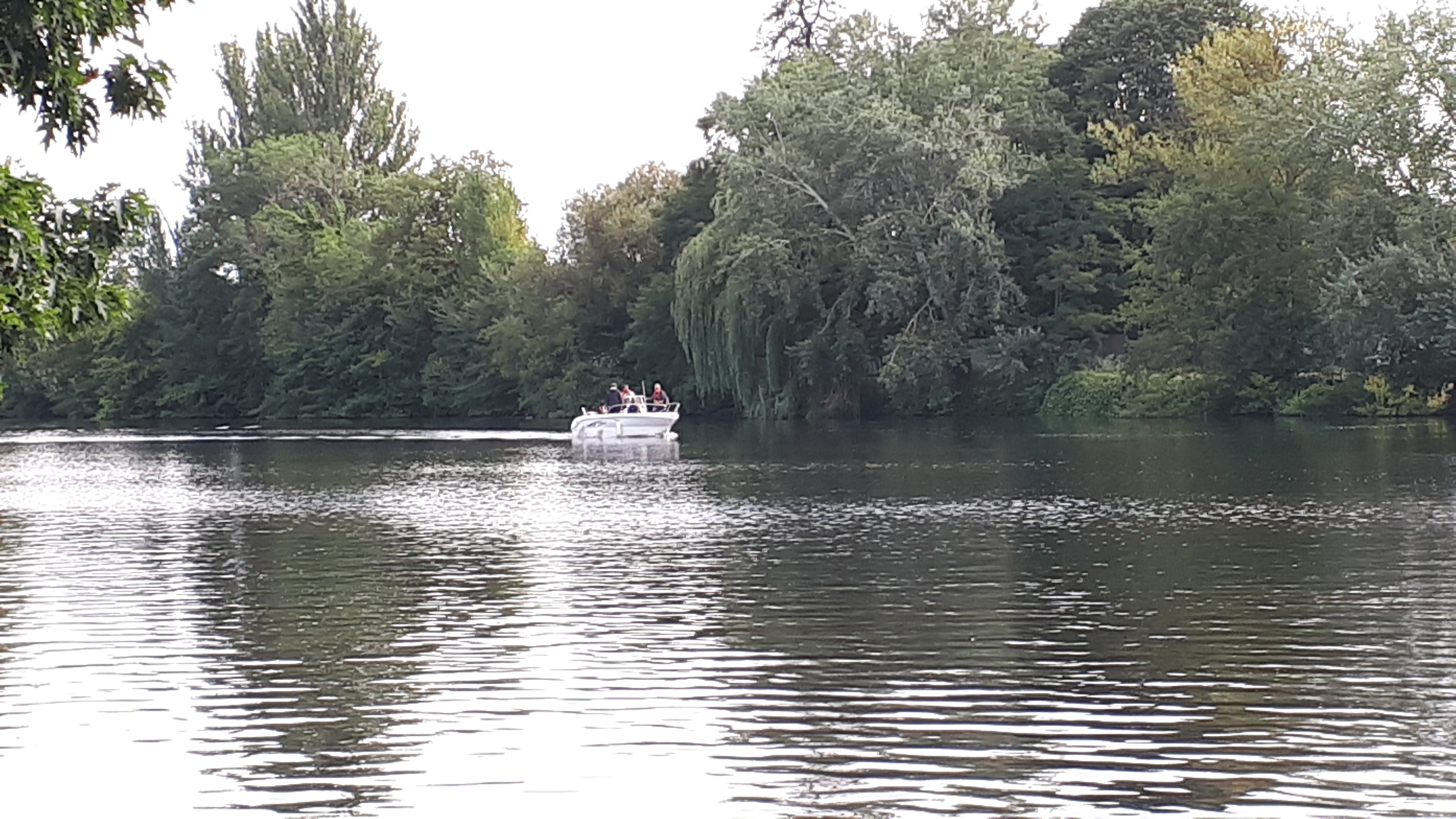 Photo n° 2 de l'avis de DKLE.a fait le 14/08/2019 à 10:02