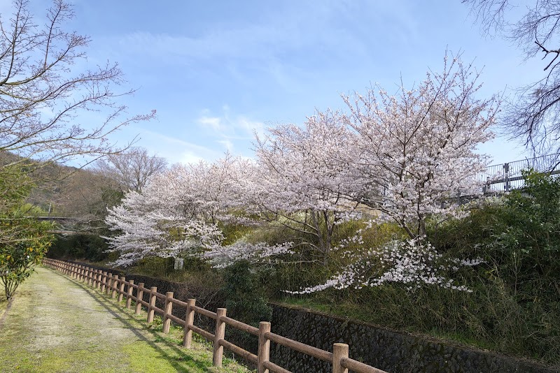 尺治川の桜並木