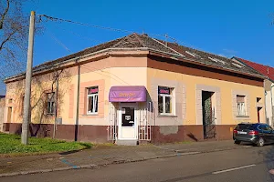 SCOOBY-DOO salon za pse Slavonski Brod image