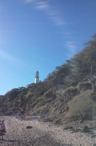 Home Improvement Store «Tractor Supply Co.», reviews and photos, 23741 US-59 #41, Porter, TX 77365, USA