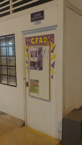 Centro Federado de la Facultad de Arte y Diseño (CFAD)