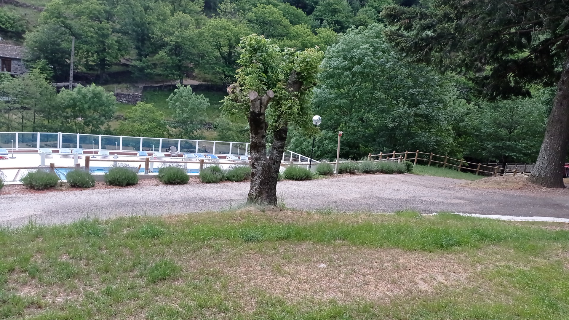 Photo n° 2 de l'avis de DELAS.o fait le 05/06/2022 à 06:18